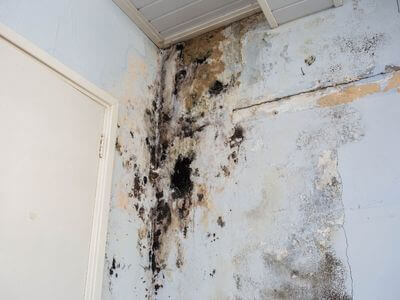 About water damage cleanup - ceiling water damage repair experts in Peoria